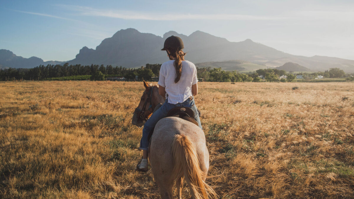 Benefits-CBD-Has-for-Your-Horses