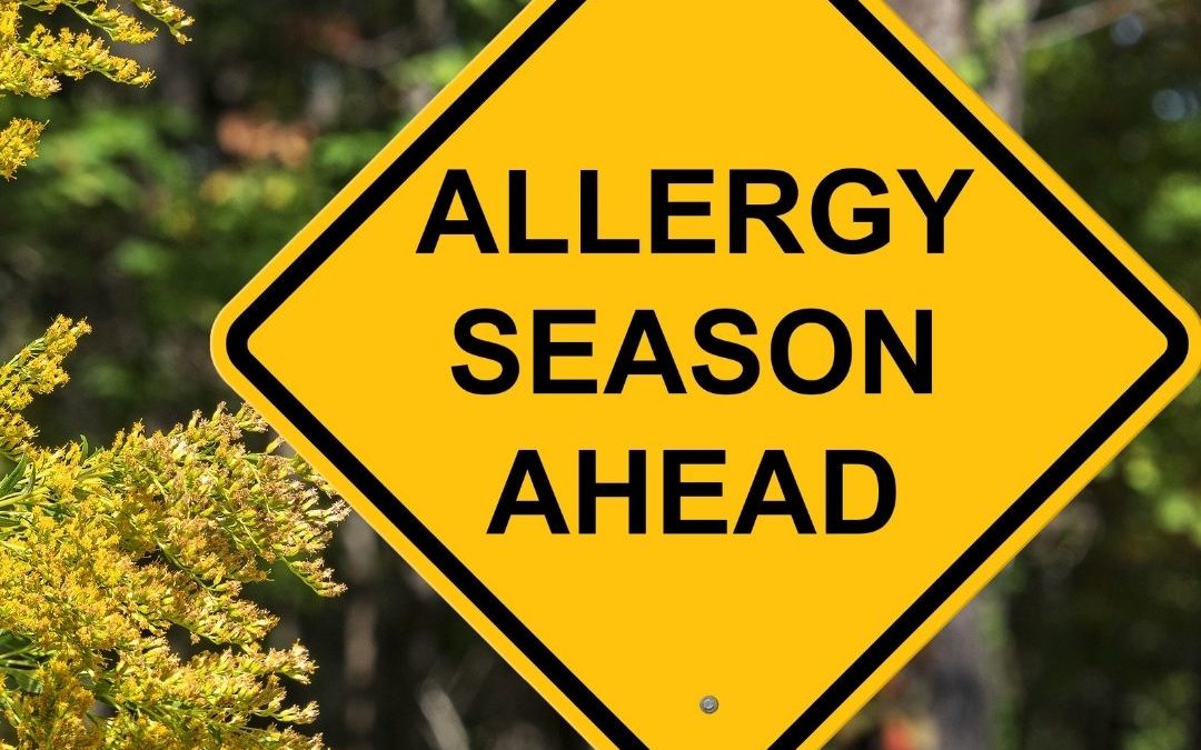 can cbd help relieve seasonal allergies