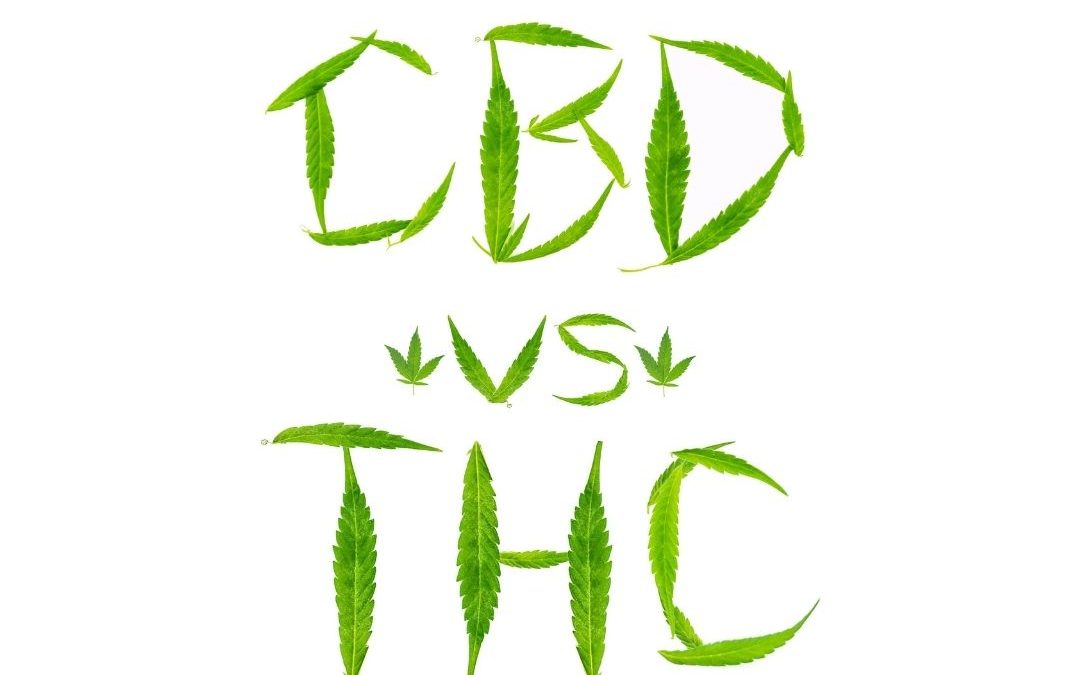 cbd vs. thc