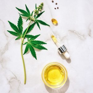 cbd for energy and focus
