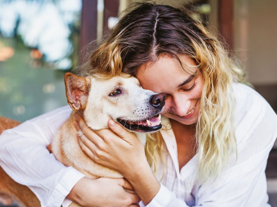 cbd health for you and your pet