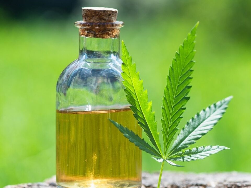 4 things you need to know about CBD oil.