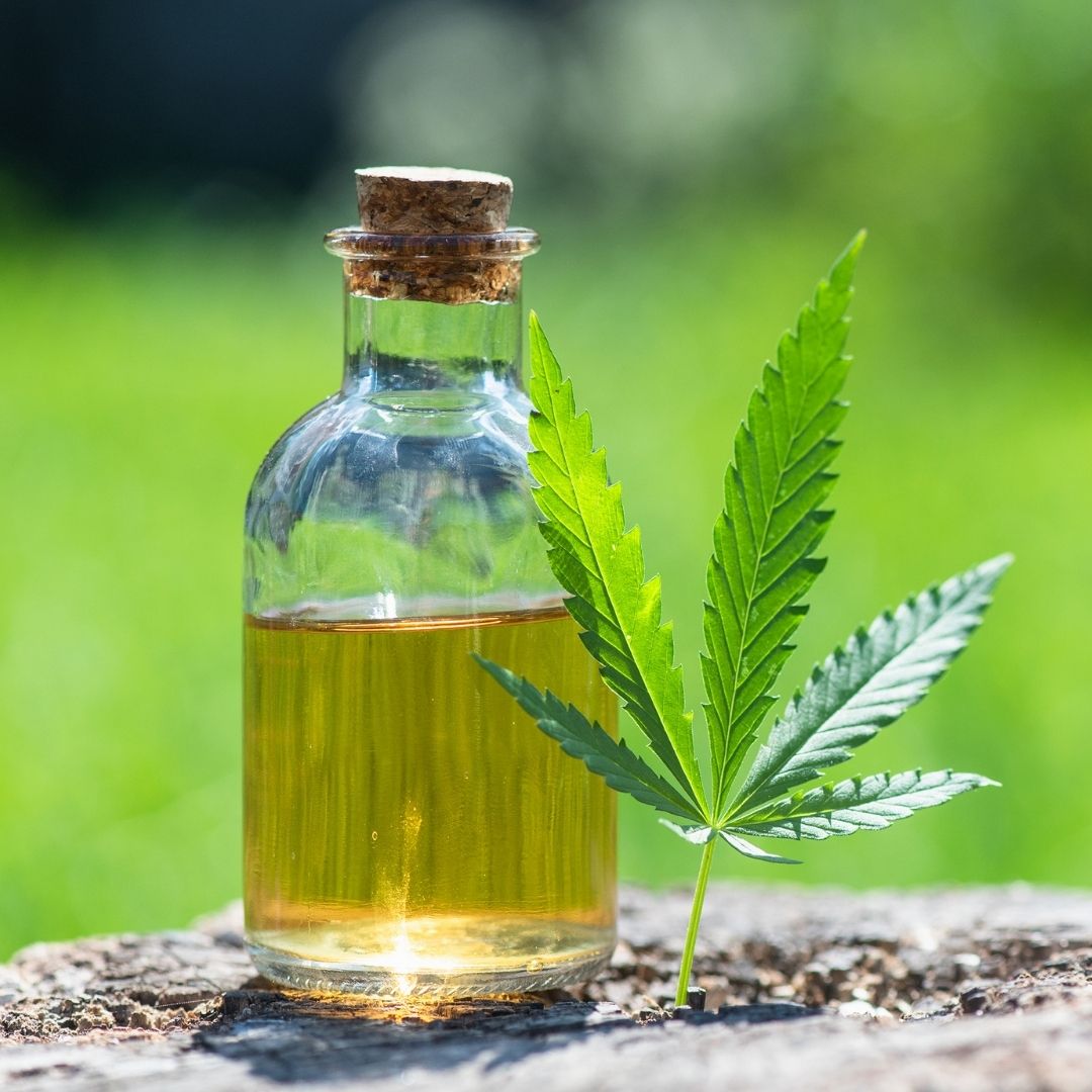 4 Things to know about CBD oil Nature's Arc Organics