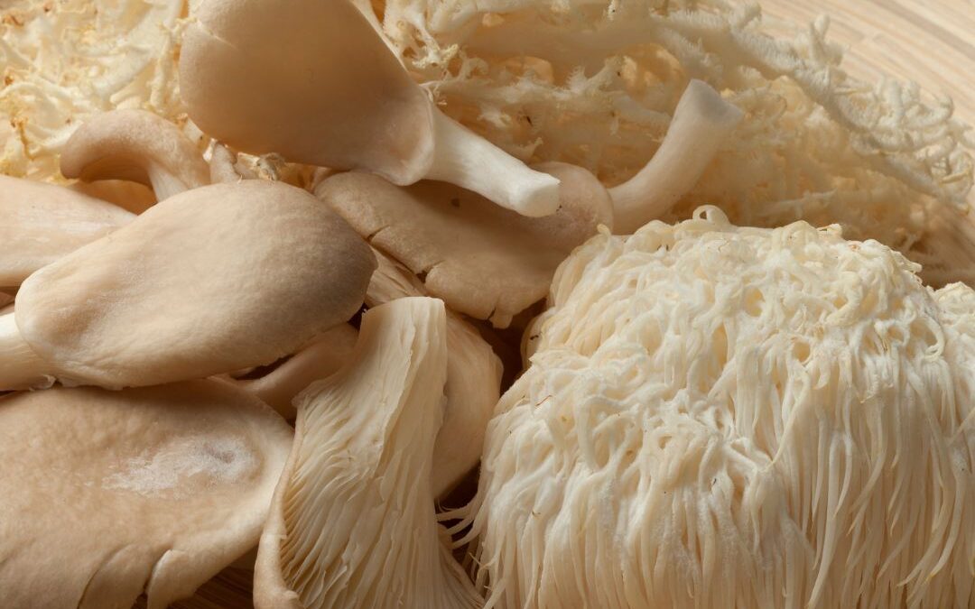 NAYSA Nutra Energize mushroom extract